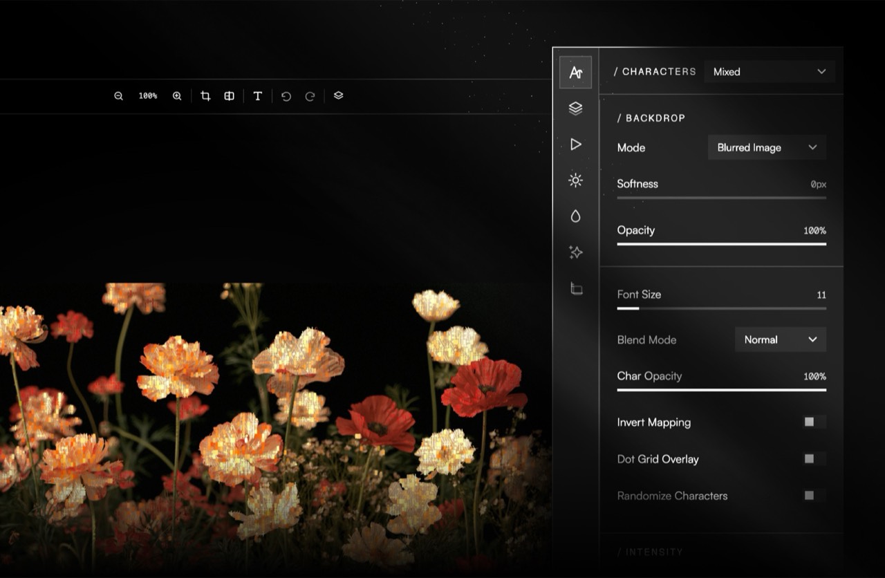 The right-hand parameter panel showing Characters mode settings: backdrop mode, softness, opacity, font size, blend mode and a set of toggles