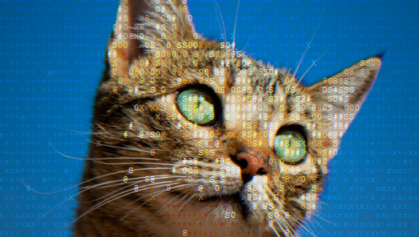 A photo turned into ASCII art for the photo-to-ASCII tutorial