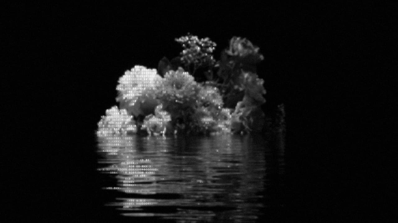 Film noir filter applied to a bouquet on water, ASCII Magic