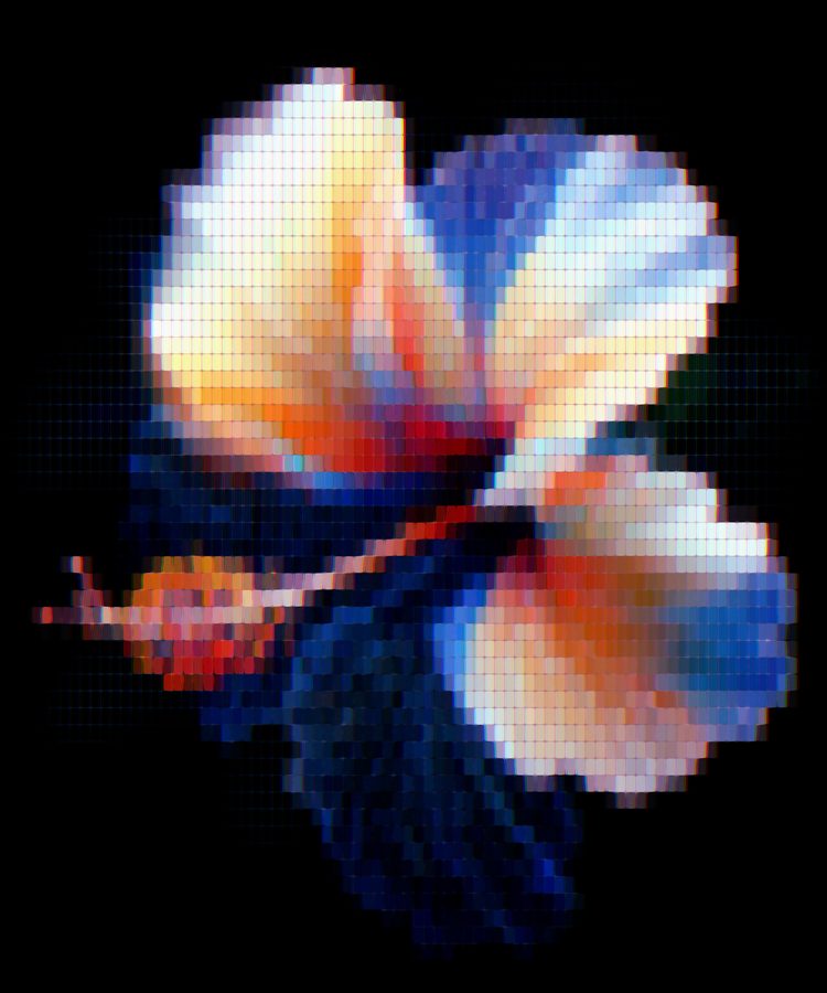 Vaporwave aesthetic filter applied to a butterfly still life, ASCII Magic