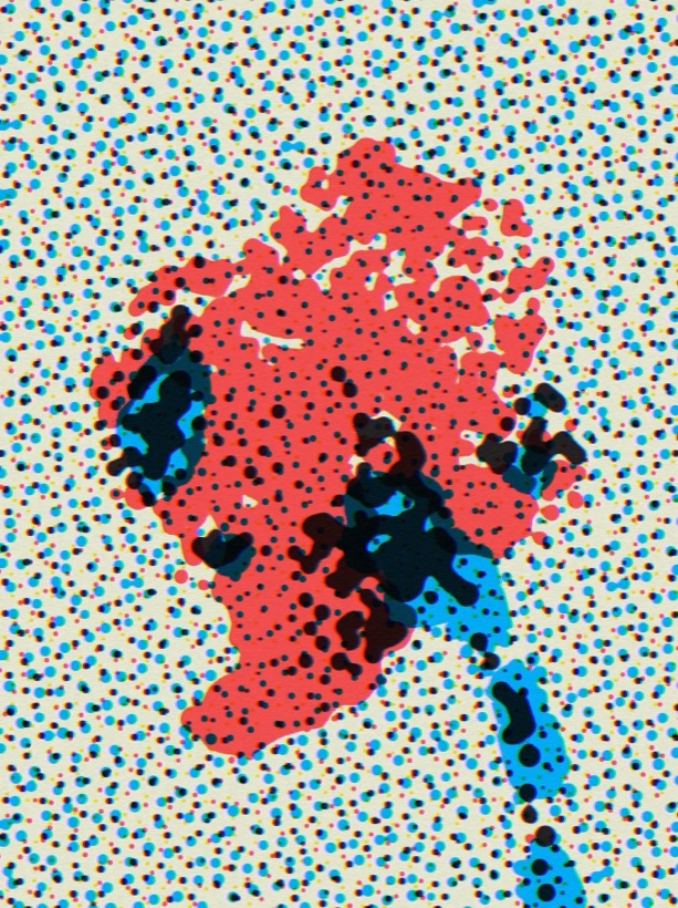 A photograph rendered as a CMYK halftone print, rebuilt from overlapping cyan, magenta, yellow and black ink dots over paper