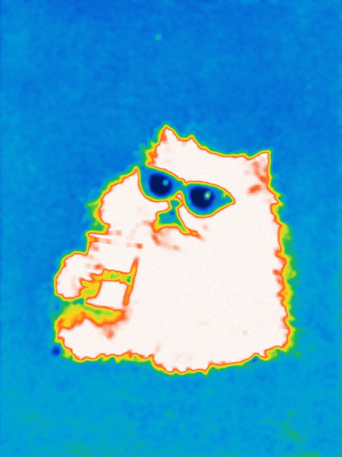 Thermal style example